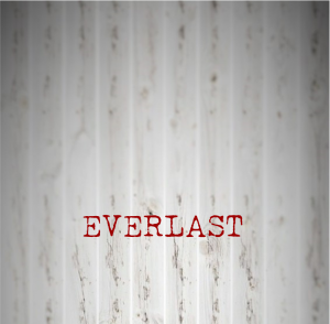 EverlastCDart2